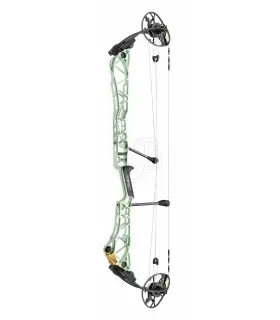 Mathews TITLE 38